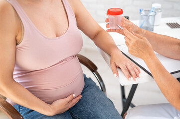 Wall Mural - The doctor explains to a pregnant patient how to pass a urine test.