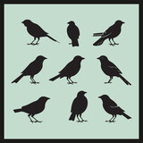 Fototapeta Dinusie - Bobolink black silhouette set, set of birds silhouettes