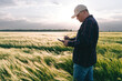 © Hryhor Denys - Checking the yield of grain crops at sunset. Man conducts experiments in field conditions.