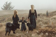 Mystical family walk with dogs in a foggy meadow. Family adventure and nature bonding concept for design and print