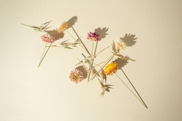 Wall Mural - Background with flowers. Dry flowers on beige background. Flat design, top view. 