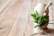 Egg in egg cup decorated catkins and boxwood on wooden background, easter concept 