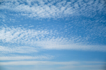 Wall Mural - Clouds, white and light, drift across the blue summer sky, creating a breathtaking view.