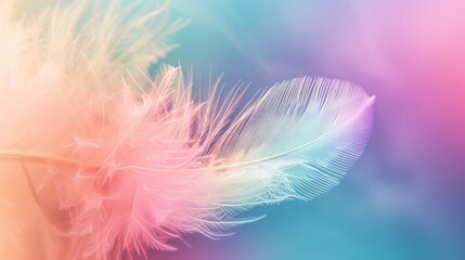  white fluffy feather against a vibrant patchwork of pastel rainbow colors