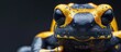 A detailed view of a Dendrobates leucomelas, a poison dart frog with vibrant yellow bands and black markings, resembling a bumblebee. The frogs intricate patterns and colors are showcased in this