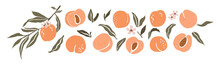 Hand Drawn Abstract Peach Set. Collection Of Whole And Cut Peaches, Branches, Flowers And Leaves Vector Illustrations Isolated On Transparent Background. Fresh Juicy Fruits Clip Art.