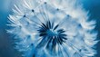 Bleu abstrait, arrière-plan fleur de pissenlit, extrême en gros plan avec mise au point douc (3).jpg, Firefly Bleu abstrait, arrière-plan fleur de pissenlit, extrême en gros plan 
