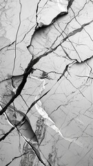 Wall Mural - gray marble background with bold, contrasting veins running through it