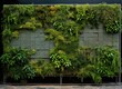 Green Plant Wall With Plants in Front of Building