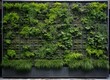 Green Plant Wall With Plants in Front of Building
