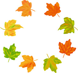 Wall Mural - Autumn leaf leaves. Fall leaves maple, oak.Natural colorful illustration on transparent, png.