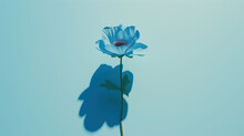 A Single Blue Flower Is Casting A Shadow On A Light Blue Background With A Shadow Of A Leaf On It.