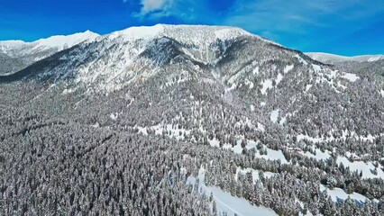 Wall Mural - Scenic snow covered mountain forest top aerial view at sunny day