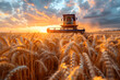 Combine Harvester at Work in Wheat Field during Sunset