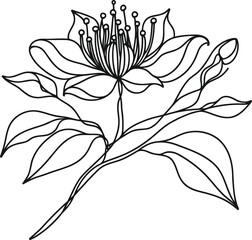 flower in continuous line drawing minimalist style.