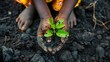 Young girl's hands planting seedlings in waste land, concept seedling of hope