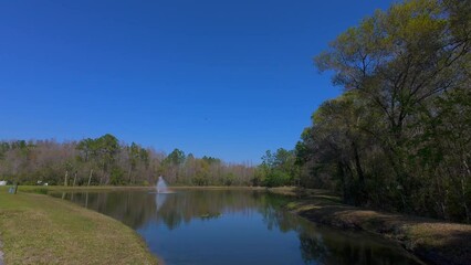 Poster - A Florida community pond in spring and animal