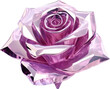 purple rose,purple violet crystal shape of rose,violet rose made of crystal isolated on white or transparent background,transparency 