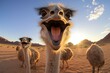 Comical Ostrich selfie funny. Farm wild hair. Generate Ai