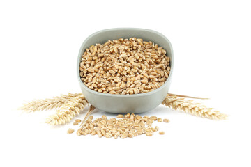 Bowl filled with wheat grains and ear of wheat isolated on white