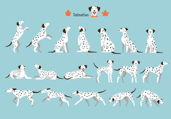 Wall Mural - Dalmatian. dog position set. flat vector illustration.