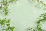 Fototapeta Kwiaty - Spring Easter background. Passover blooming white apple or cherry blossom on green background. Happy Passover background. World environment day. Easter, Birthday, womens day holiday. Top view Mock up.