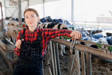 Wall Mural - Farming livestock cattle industry. Happy woman farmer plaid shirt and uniform on background cows dairy farm