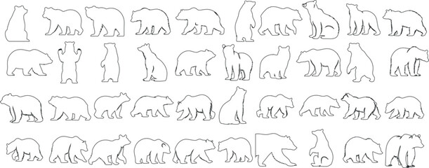 Wall Mural - bear line art, minimalist design, elegant poses