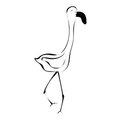 Wall Mural - Flamingo 