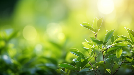 Wall Mural - Green leaves. Nature of green leaf in garden at summer.