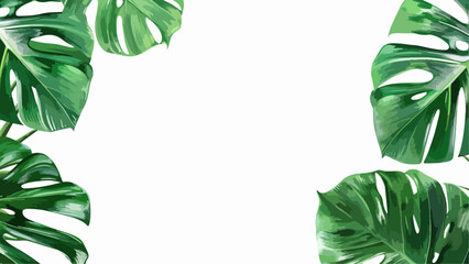 Wall Mural - background illustration vector of monstera leaves. free copy space in the middle.