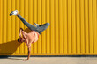 © Westend61 - Carefree man doing hand stand in front of yellow striped wall