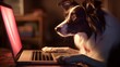 a border collie looking at a laptop, Generative AI