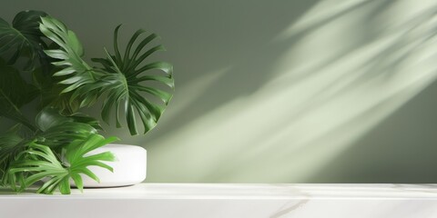 Wall Mural - Minimal, modern white marble stone counter table, tropical monstera plant tree in sunlight on green wall background for luxury fresh organic cosmetic, Generative AI