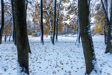 Wall Mural - Trees covered with snow in a park in the city of Moscow