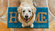 © Nemanja - Closeup of a happy golden retriever dog smiling at the camera, standing on a blue doormat or welcome mat with the text 'Home' on a floor indoors, in a house interior. Doorway pet welcoming the guests