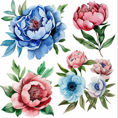 Wall Mural - Set of  Pink and Blue Peony Bloom Isolated on White Background. Collection of watercolor floral branches, flowers and plants in vintage style.