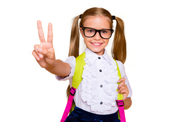 Sticker - Close up studio photo portrait of sweet lovely intelligent with beaming smile long straight hairstyle wearing white daughter making giving v-sign isolated bright vivid background