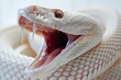 Albino Serpent's Display of Elegance and Menace - Generative AI