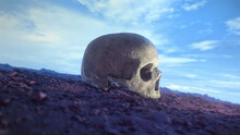 Skull On Stone Landscape 02