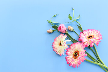 Wall Mural - Top view image of pink flowers composition over pastel blue background .Flat lay