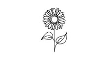 One Line Sunflower Element. Black And White Monochrome Continuous Single Line Art.
