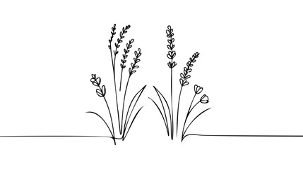 Wall Mural - Single continuous line drawing of beauty fresh lavandula for garden logo.