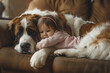 © zakiroff - Toddler Embraces Gentle Giant Dog on a Cozy Sofa, Display of Pure Friendship