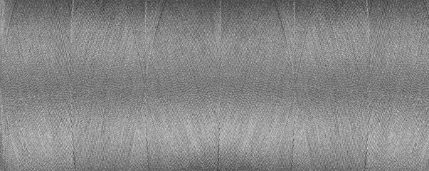 Wall Mural - texture of thread for a sewing machine gray colors on a white background