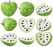 Isolated cherimoya collection. Fresh custard apple (crerimoya) fruits of different shapes, whole and cut, isolated on white background