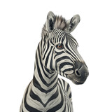 Fototapeta Konie - zebra isolated on transparent background, png