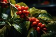 Fresh coffee berry in lush green branch outdoors generated by, generative IA