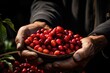 Arabica coffee berries with hands as a robust and arabica coffee berries, generative IA