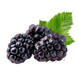 Blackberry fruit PNG. Blackberries isolated. Blackberry top view PNG. Blackberries flat lay PNG